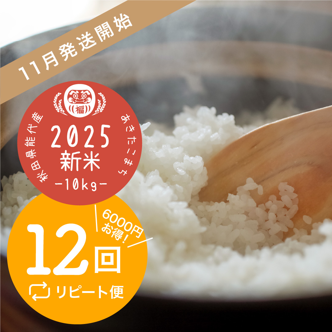 【12回リピート】あきたこまち10kg(送料無料)